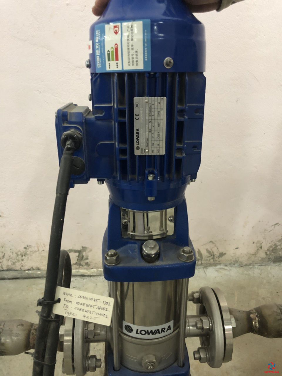 Động cơ bơm nước chèn trục
